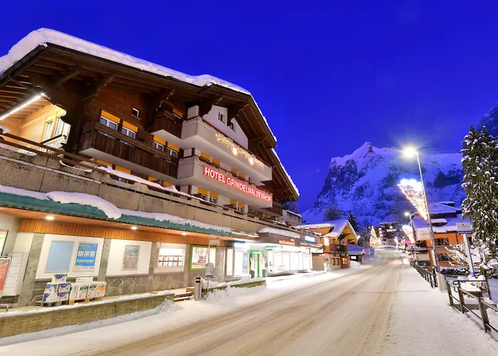 酒店 Grindelwalderhof 格林德瓦