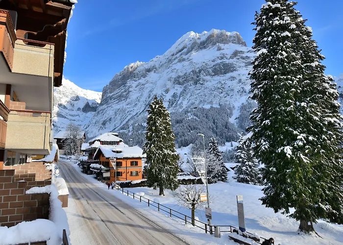 Grindelwalderhof 3*